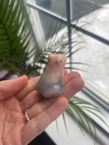 Pink and purple frog friend