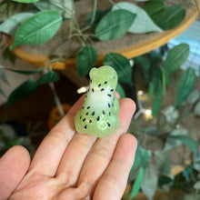 Load image into Gallery viewer, B GRADE SNAILS/FROGS