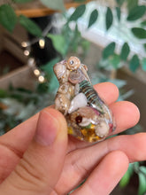 Load image into Gallery viewer, B GRADE SNAILS/FROGS