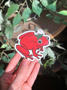Strawberry frog sticker 3in