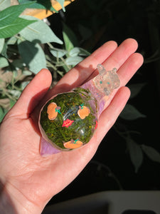 Pumpkin painted snails