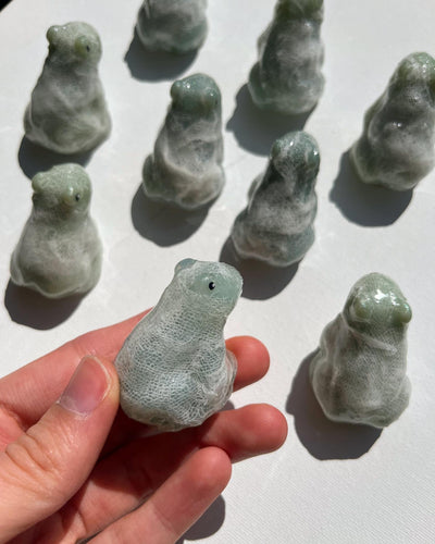 Mummy frogs