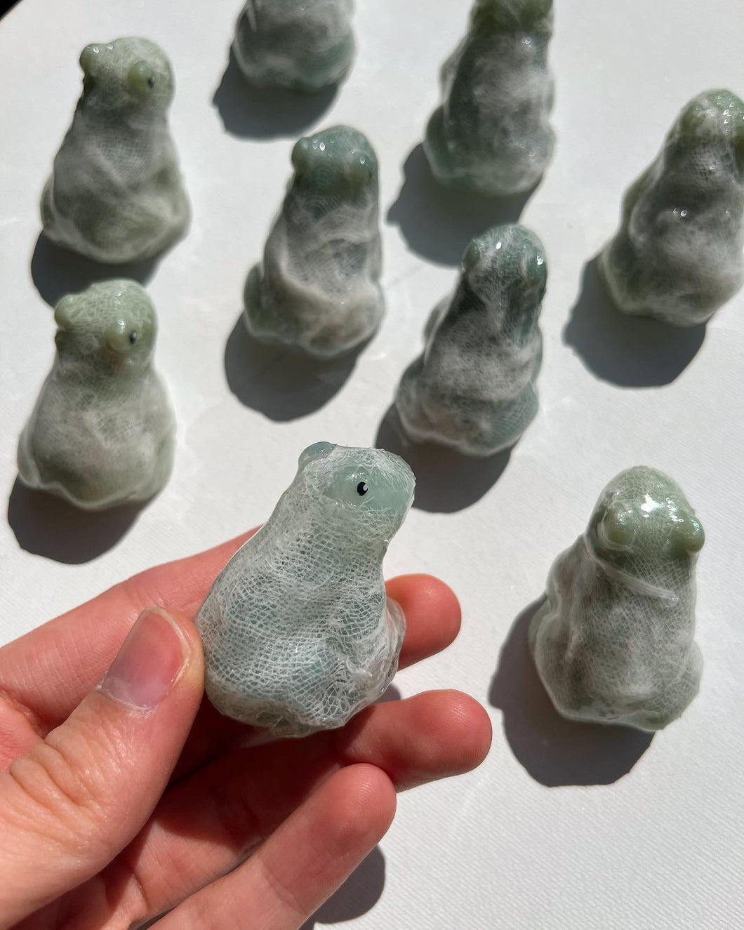 Mummy frogs