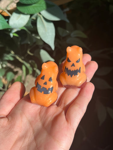 Orange jack-o’-lantern frogs