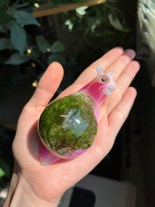 Pink cowboy snail
