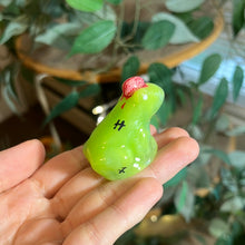 Load image into Gallery viewer, B GRADE SNAILS/FROGS