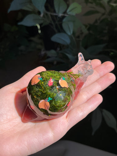 Pumpkin painted snails