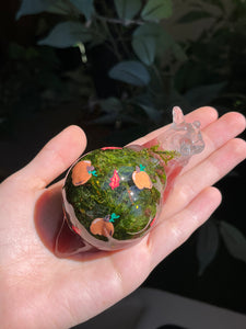 Pumpkin painted snails