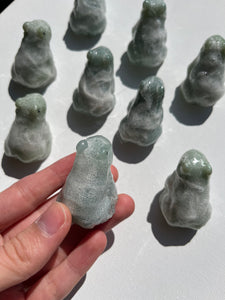 Mummy frogs