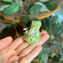 Load image into Gallery viewer, B GRADE SNAILS/FROGS