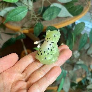 B GRADE SNAILS/FROGS