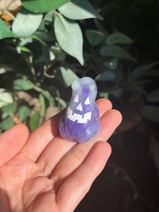Purple jack-o’-lantern frogs