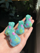Load image into Gallery viewer, B GRADE SNAILS/FROGS