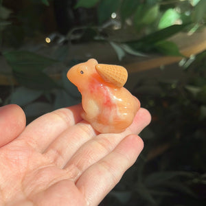 Sherbet frogs