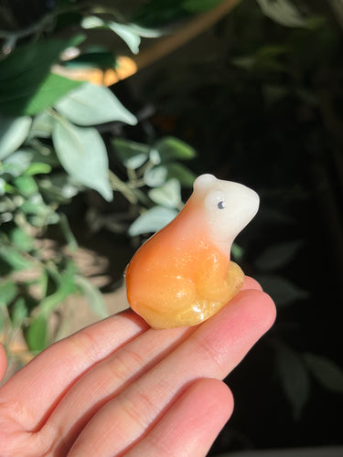 Candy corn frogs