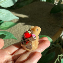 Load image into Gallery viewer, Chocolate covered strawberries brown frogs