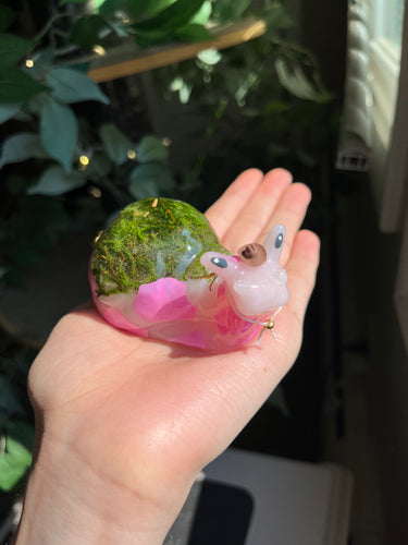 Pink cowboy snail