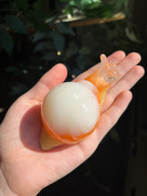 Load image into Gallery viewer, Candy corn snail