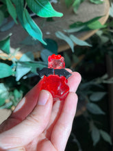 Load image into Gallery viewer, Devil frogs