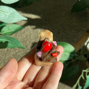 Chocolate covered strawberries brown frogs
