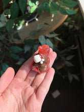Load image into Gallery viewer, Hot coco frogs