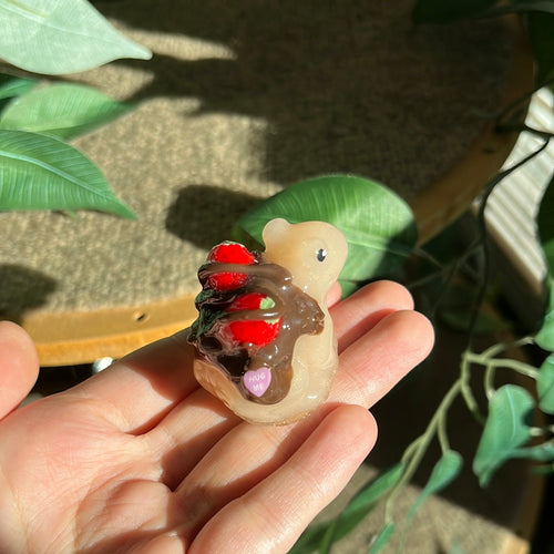 Chocolate covered strawberries brown frogs