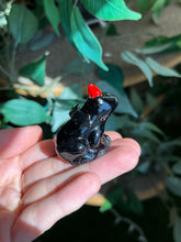 Load image into Gallery viewer, Devil frogs