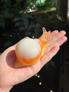 Candy corn snail